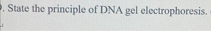 State The Principle Of Dna Gel Electrophoresis 1