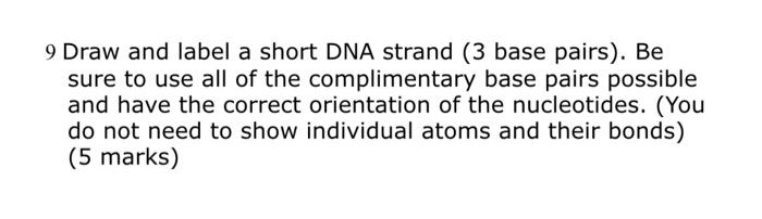 9 Draw And Label A Short Dna Strand 3 Base Pairs Be Sure To Use All Of The Complimentary Base Pairs Possible And Have 1