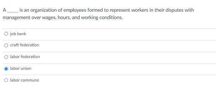A Is An Organization Of Employees Formed To Represent Workers In Their Disputes With Management Over Wages Hours And 1