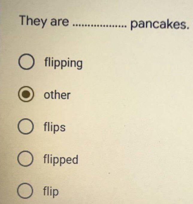 They Are Pancakes O Flipping Other O Flips O Flipped O Flip 1