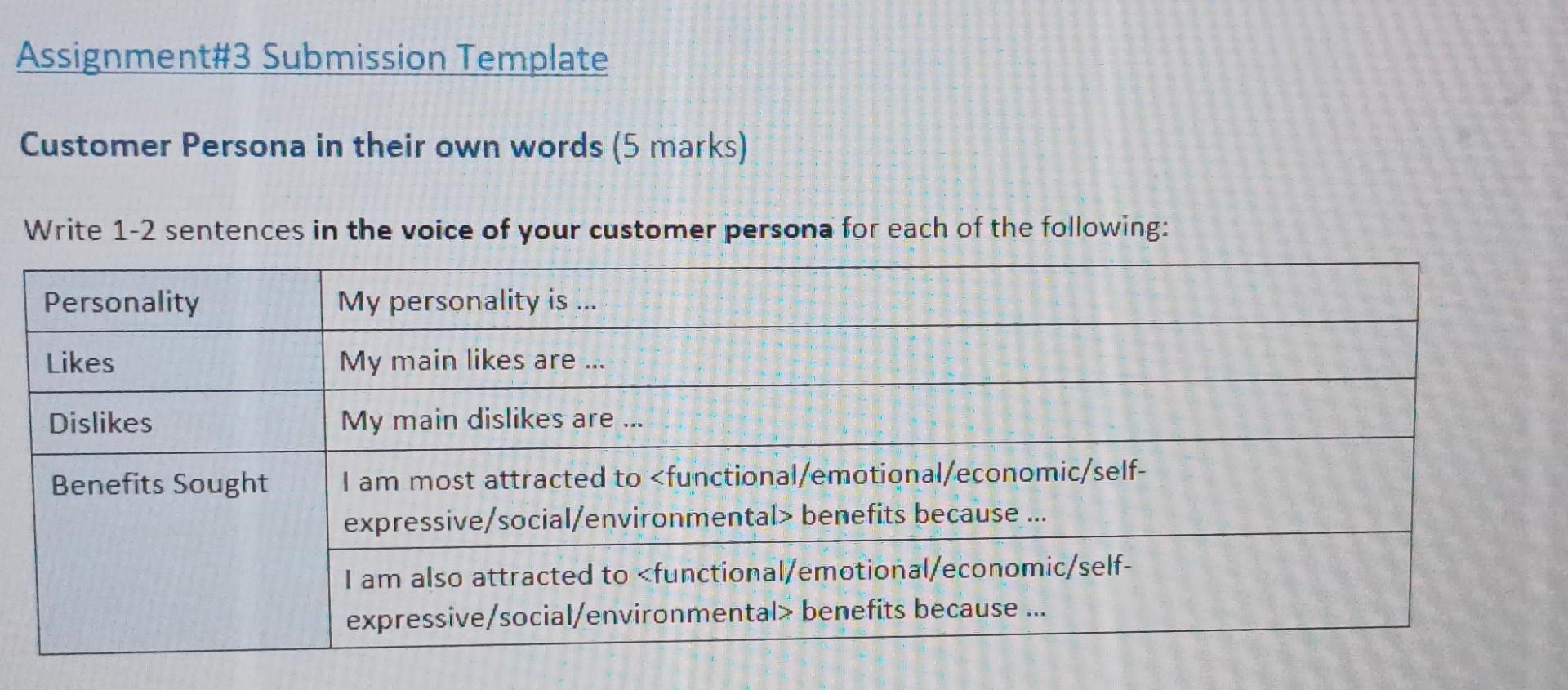 Assignment 3 Submission Template Customer Persona In Their Own Words 5 Marks Write 1 2 Sentences In The Voice Of Your 1