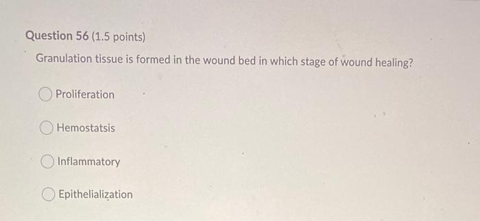 Question 54 1 5 Points Which Of The Follow Recommendations For A Wound Dressing Is Most Accurate Use Wet To Dry Dress 3