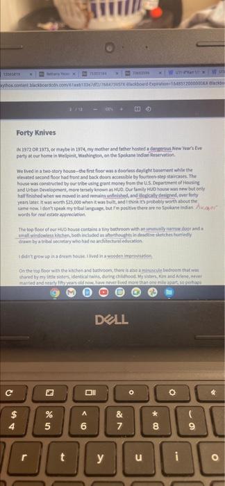 Essay 1
