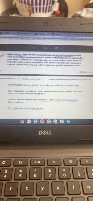 Essay 4