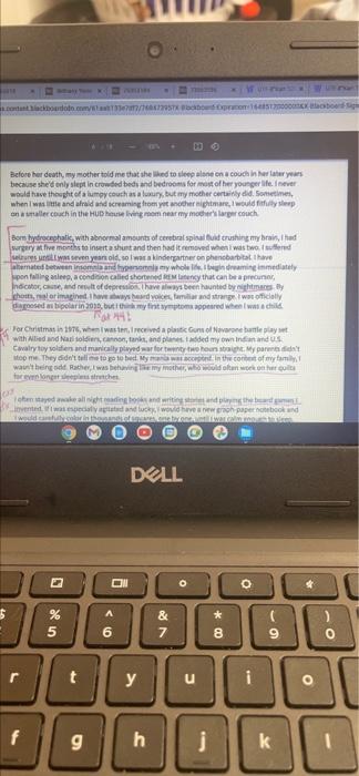 Essay 6