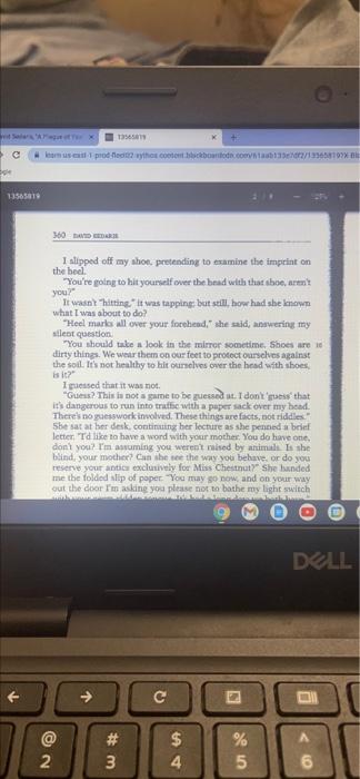 Essay 3