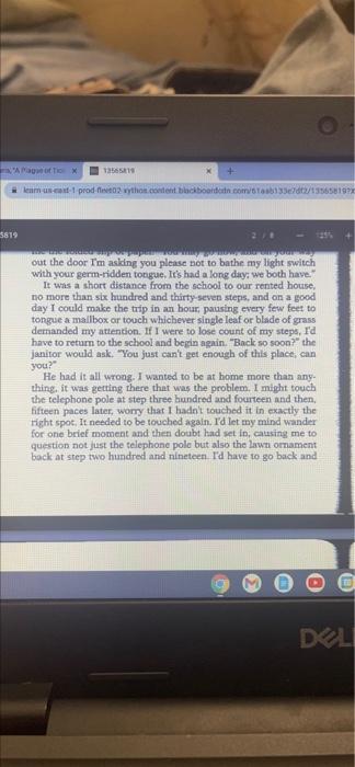 Essay 4
