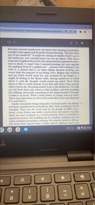 Essay 5