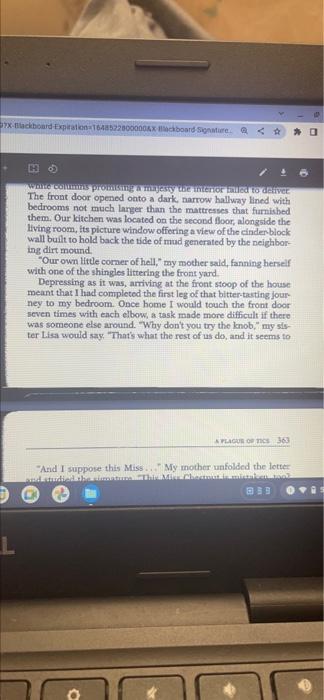 Essay 6