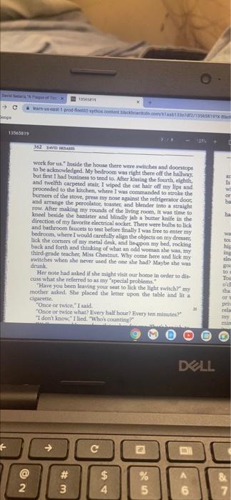 Essay 7