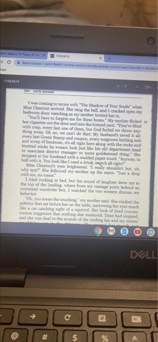 Essay 11