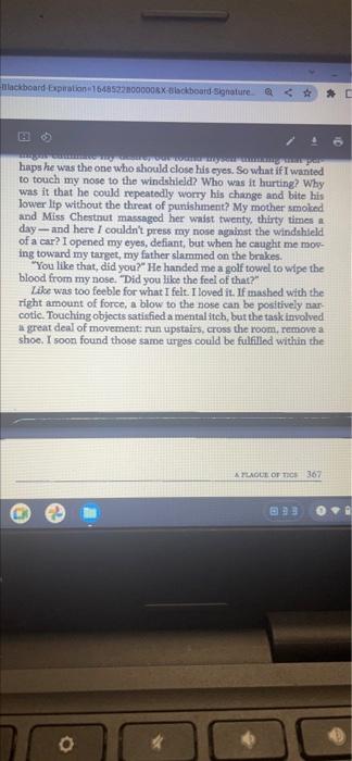 Essay 14