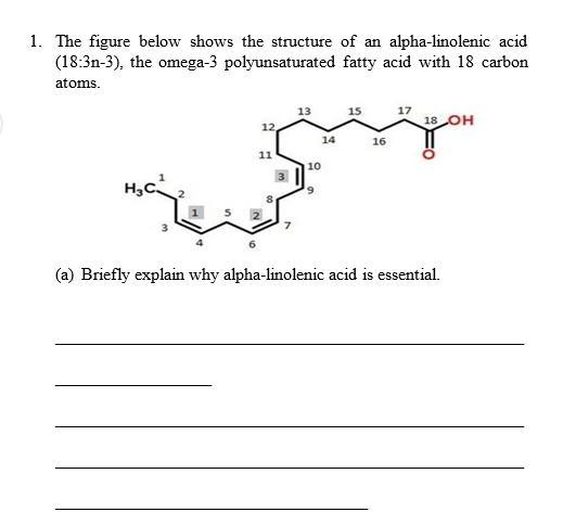 1 The Figure Below Shows The Structure Of An Alpha Linolenic Acid 18 3n 3 The Omega 3 Polyunsaturated Fatty Acid Wit 1