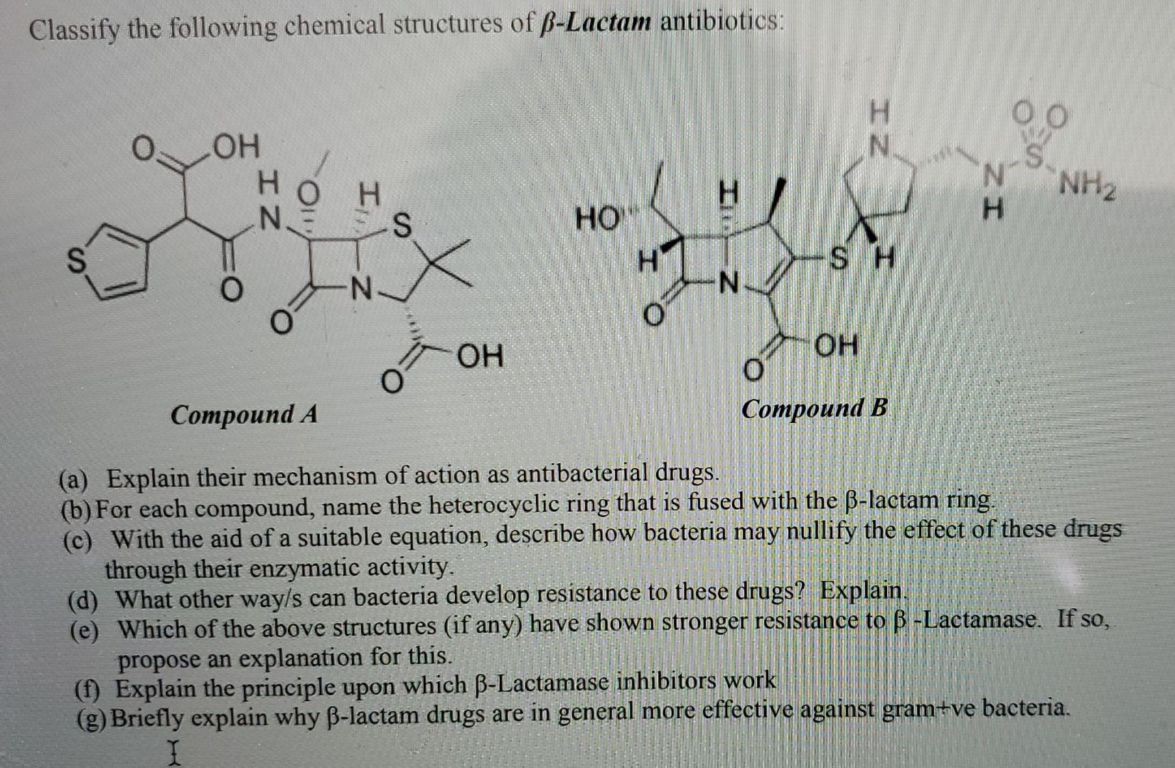 Classify The Following Chemical Structures Of Ss Lactam Antibiotics Oo H N Oh N Nh2 Zi I Ne H S Ho H S Hm Sh O N N O O 1