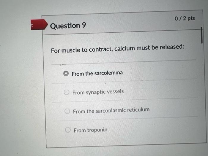 Question 2 0 2 Pts Undernutrition In The Female Athlete Can Occur Because Of The Following Factor S Body Dissatisfacti 2