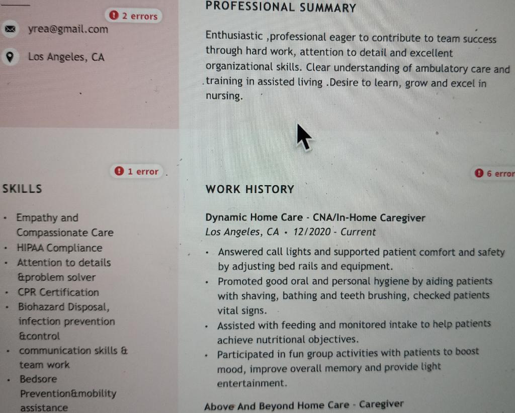 Professional Summary O 2 Errors Yrea Gmail Com Los Angeles Ca Enthusiastic Professional Eager To Contribute To Team Su 1