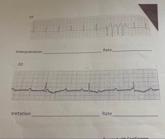 13 Rate Interpretation 14 Monoshalmashabadalona Interpretation Rate 15 Transfertsonderhedtrowadrantnih Terpretation R 3