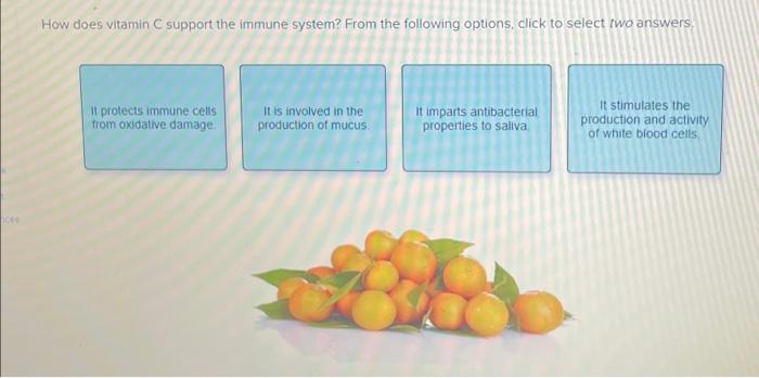 How Does Vitamin C Support The Immune System From The Following Options Click To Select Two Answers It Protects Immun 1