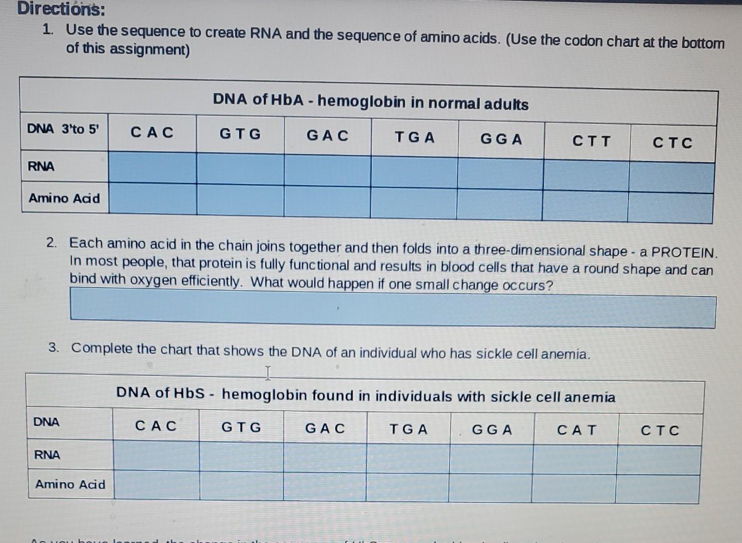 5 Write Each Codon Per Line And Highlight In Yellow Where The Deleted Base Occurred And Affected Amino Acids Original 3