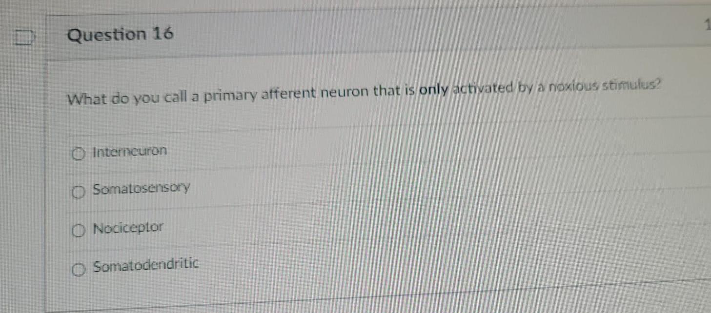 Question 16 What Do You Call A Primary Afferent Neuron That Is Only Activated By A Noxious Stimulus 0 Interneuron O Som 1