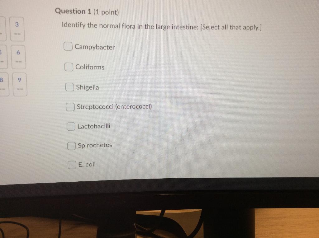 Please Answer All Asap Thank You 1