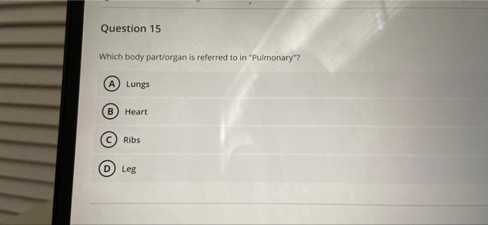 37 Minutes Remaining 30 Of 30 Questions Re Question 14 What Does Endo Indicate In The Medical Word Endocarditis A S 2