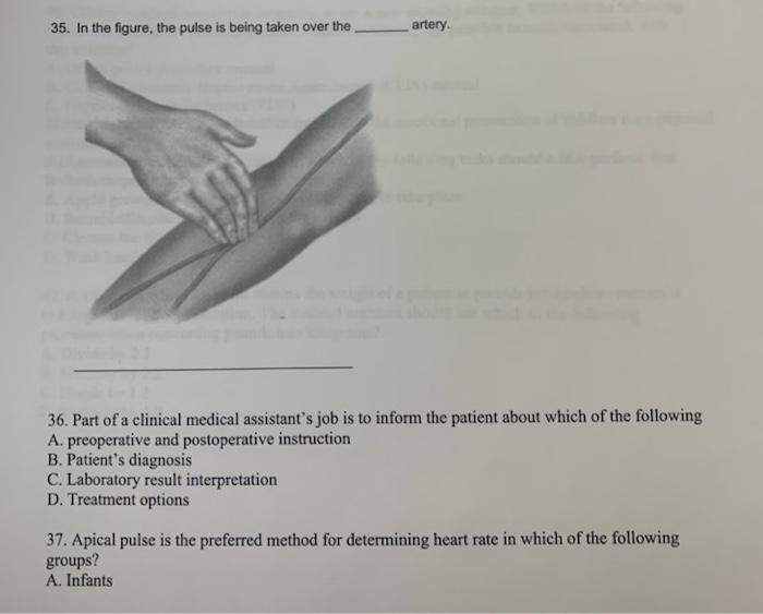 35 In The Figure The Pulse Is Being Taken Over The Artery 36 Part Of A Clinical Medical Assistant S Job Is To Inform 1