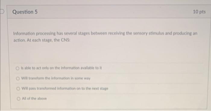 Question 5 10 Pts Information Processing Has Several Stages Between Receiving The Sensory Stimulus And Producing An Acti 1