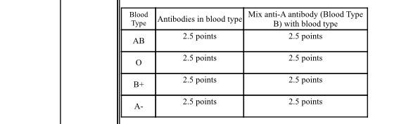 Blood Type Antibodies In Blood Type Mix Anti A Antibody Blood Type B With Blood Type 2 5 Points 2 5 Points Ab 2 5 Poin 1