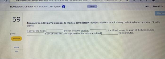 Homework Chapter 10 Cardiovascular System Seved Help Save Exit Chec 59 Translate From Layman S Language To Medical Te 1