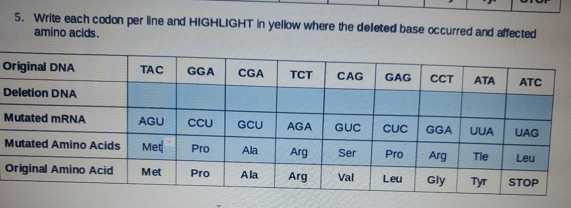 5 Write Each Codon Per Line And Highlight In Yellow Where The Deleted Base Occurred And Affected Amino Acids Original 1
