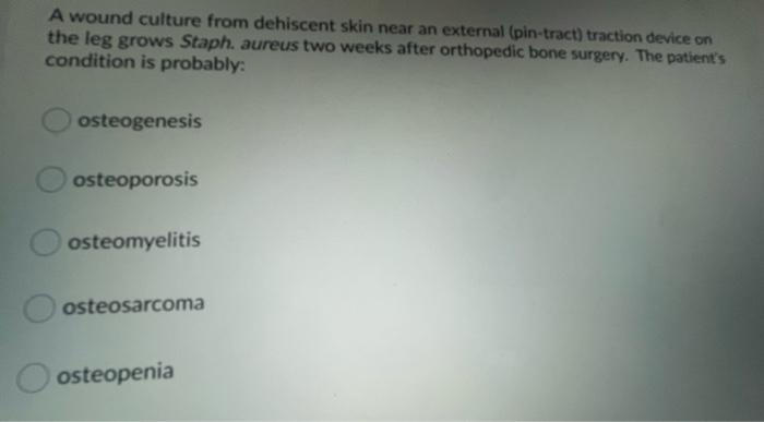 A Wound Culture From Dehiscent Skin Near An External Pin Tract Traction Device On The Leg Grows Staph Aureus Two Week 1