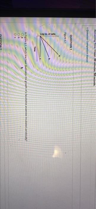Question 1 Figure 6 1 Log No Al Colle Time In Figure 61 Which Line Best Illustrates The Growth Of A Facultative Anaero 3
