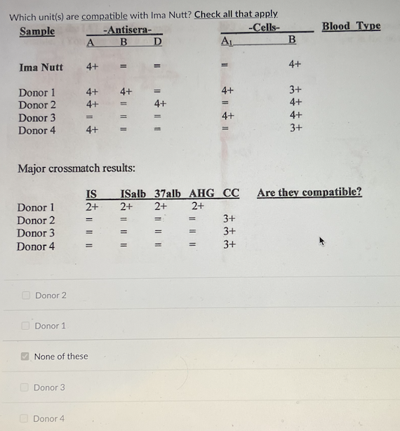 Which Units Should Be Used In Need Of A Transfusion Check All That Apply Donor 2 Donor 4 None Of The Above Donor 3 Don 2