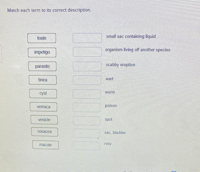 Match Each Term To Its Correct Description Toxin Small Sac Containing Liquid Impetigo Organism Living Off Another Speci 1