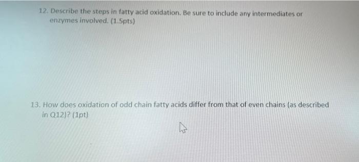12 Describe The Steps In Fatty Acid Oxidation Be Sure To Include Any Intermediates Or Enzymes Involved 1 5pts 13 H 1