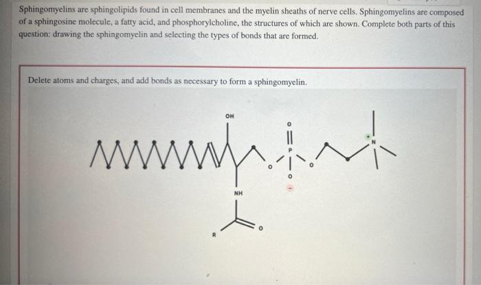 Sphingomyelins Are Sphingolipids Found In Cell Membranes And The Myelin Sheaths Of Nerve Cells Sphingomyelins Are Compo 1