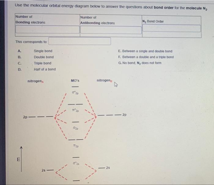 Use The Molecular Orbital Energy Diagram Below To Answer The Questions About Bond Order For The Molecule N Number Of Bo 1