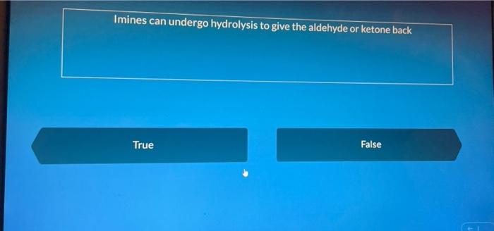 Both Ammonia And Primary Amines Generate Enamine While Secondary Amines Generate Imines True False Selected Imine And E 5