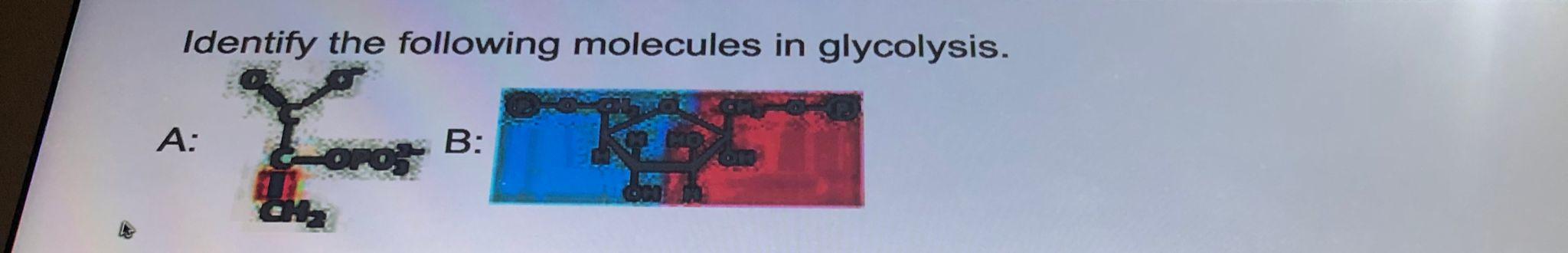 Identify The Following Molecules In Glycolysis A Ofo B 1