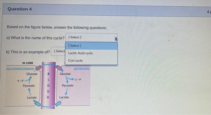 Question 2 The Following Figure Shows The Fates Of Pyruvate Under 2 Different Conditions In The Cell A And B Which Fa 3