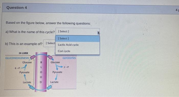 Question 4 Based On The Figure Below Answer The Following Questions A What Is The Name Of This Cycle Select Selec 1