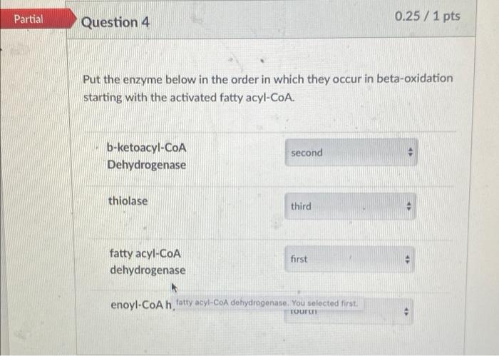 Partial Question 4 Put The Enzyme Below In The Order In Which They Occur In Beta Oxidation Starting With The Activated F 1