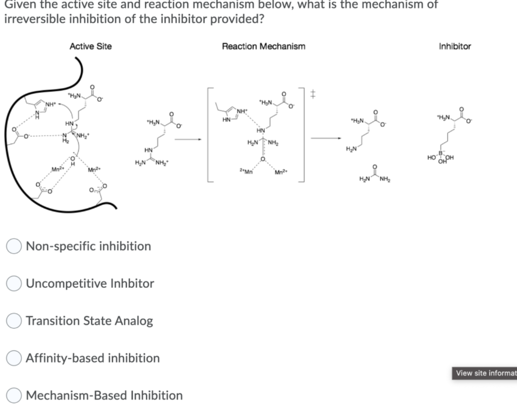 Given The Active Site And Reaction Mechanism Below What Is The Mechanism Of Irreversible Inhibition Of The Inhibitor Pr 1