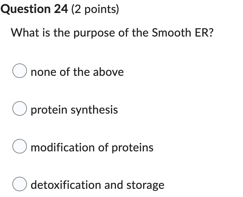 Question 24 2 Points What Is The Purpose Of The Smooth Er O None Of The Above O Protein Synthesis O Modification Of P 1
