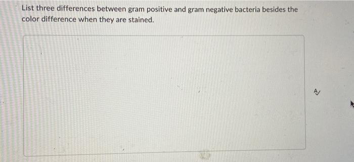List Three Differences Between Gram Positive And Gram Negative Bacteria Besides The Color Difference When They Are Stain 1