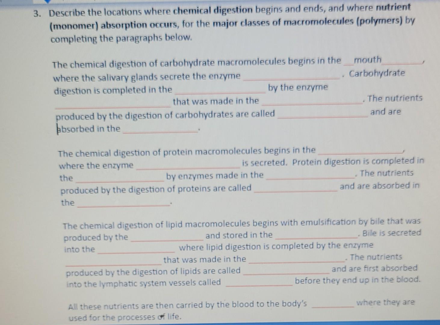 3 Describe The Locations Where Chemical Digestion Begins And Ends And Where Nutrient Monomer Absorption Occurs For 1