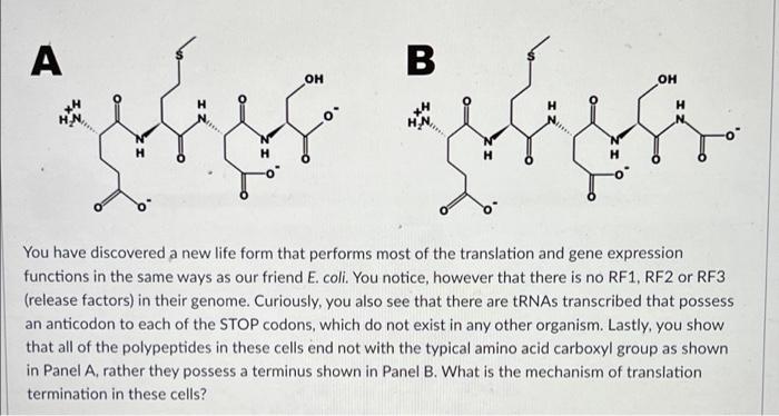 What Is The Amino Acid Sequence Of The Peptide In Panel A Use 1 Or 3 Letter Codes And Be Sure To Indicate The N And C T 2