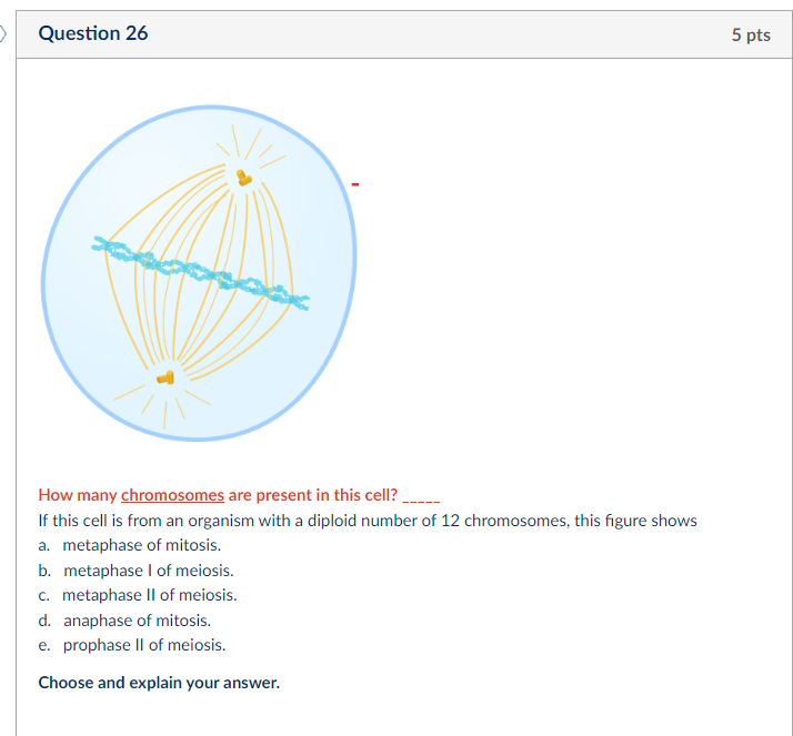 Question 26 E How Many Chromosomes Are Present In This Cell If This Cell Is From An Organism With A Diploid Number Of 1 1