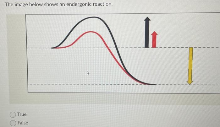 The Process Shown Below Occurs In Cellular Respiration Protein Complex Of Electron Carriers 1 Nadh Carrying Electron 2